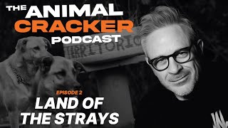 The Animal Cracker Podcast  Land Of The Strays  Ep 2 [upl. by Goldberg]