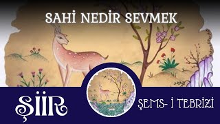 Şiir  Sahi Nedir Sevmek  Şemsi Tebrizi [upl. by Bergren]