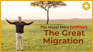 Should you visit The Masai Mara without The Migration [upl. by Anomar]