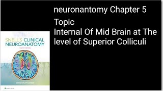 Internal structure of Mid Brain At superior ColliculiNeuroanatomyNeurosciences [upl. by Ardnu]