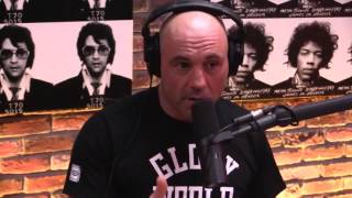 Joe Rogan on Ronda Rouseys Decline [upl. by Aznarepse6]