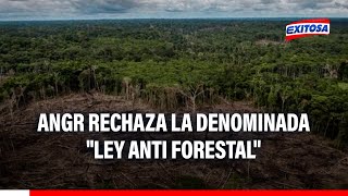 🔴🔵ANGR rechaza la denominada quotLey Anti Forestalquot y pide la derogatoria [upl. by Nagel]