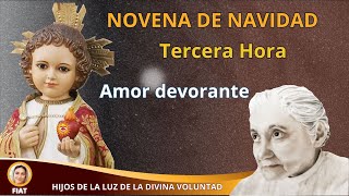 3 TERCERA HORA AMOR DEVORANTE  LUISA PICCARRETA [upl. by Macilroy375]