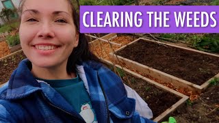 🌼 Getting Rid of Yet More Weeds 🌼  Small Overview  Allotment Vlog Ep9 [upl. by Grose]