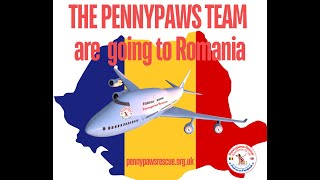 The Pennypaws Rescue Team are heading to Romania to do more essential work out there with the dogs [upl. by Kelton924]