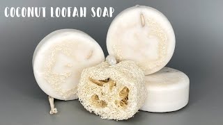 Make Your Own Coconut Loofah Soap with Easy Melt and Pour Soap Recipe [upl. by Theodosia]