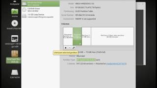 VeraCrypt EFI Troubleshoot with Linux Mint [upl. by Nekciv]