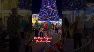 The Christmas tree at Magic Kingdom is so beautiful at night magickingdom disney disneyworld [upl. by Elletsyrk]