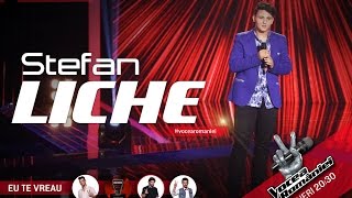 Stefan LicheDeai fi tu salcie la malVocea Romaniei 2015Auditii pe nevazute Ed2Sezon 5 [upl. by Anwadal]