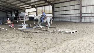 Jasmine trail horse sale video [upl. by Elleron765]