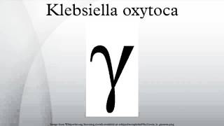 Klebsiella oxytoca [upl. by Dwight]