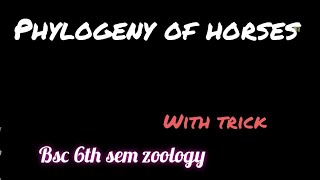 Phylogeny of horses  Evolution of horses Bsc 6th sem zoology unit 3  with trick to learn [upl. by Alli880]