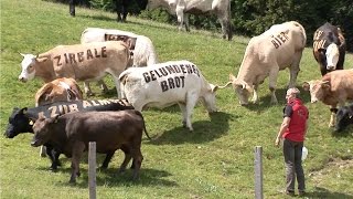 Urlaub in der Region Villach  Sport Spaß und Action auf der Gerlitzen [upl. by Ebneter57]