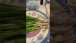 1st time Bunching Green Onion harvest [upl. by Ardnuas]