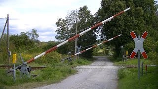 Spoorwegovergang Nienburg D  Railroad crossing  Bahnübergang [upl. by Artimed]