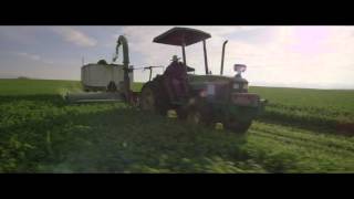 Organic Farming  From Seed to Supplement  Amway [upl. by Zetrok]