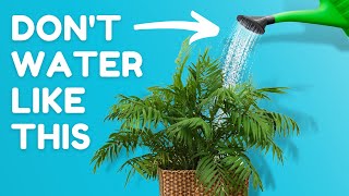 10 Everyday Habits Keeping Your Plants Unhealthy [upl. by Ailahs]