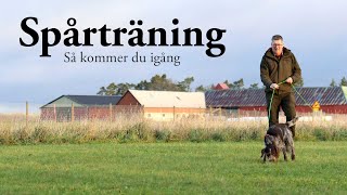 Hundskolan Spårträning  En guide till effektiv och rolig träning [upl. by Anenahs]