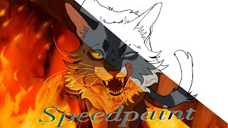 FIREBramblefur Thumbnail Entry Speedpaint [upl. by Aknaib391]