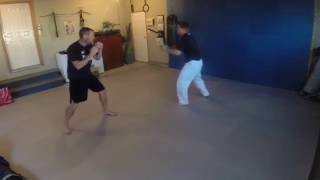 Gracie Combatives Test Freestyle Fight Simulation Ryan [upl. by Borries]