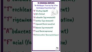 Remember Cranial nerves easily shorts dentistry [upl. by Tenenbaum]