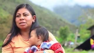 Documental Indígenas Uwa Colombia  Guardianes de la Madre Tierra [upl. by Enirroc]