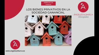 LOS BIENES PRIVATIVOS EN LA SOCIEDAD GANANCIAL [upl. by Atahs261]