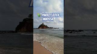 🦜 Parrot Rock mirissabeach  shorts  vishalmishra beach travel [upl. by Eleaffar]