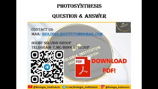 Photosynthesis QnA ll HS SEM II NEET JENPUS CUET UG ll biology [upl. by Ingamar]