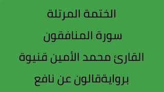 سورة المنافقون القارئ محمد الأمين قنيوة برواية قالون عن نافع [upl. by Layne]