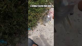 É flecha Vem para ultra light pescador Se escreva no canal chama fishing fish fishingtrip [upl. by Baoj990]