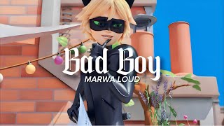 Bad BoyMarwa Loud Lyrics  Cat Noir  AMV 🔥 Cat Noir Bad Boy 🖤🔥 By MLB Games [upl. by Enyrehtak]