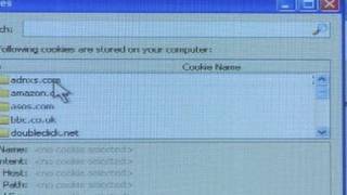 How To Clear Cookies On Your Computer [upl. by Elsinore908]