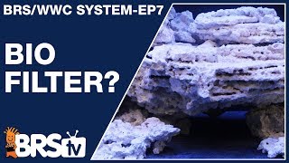 Ep7 Reef tank biofilter for a stable long term reef aquarium  The BRSWWC System [upl. by Soloman]