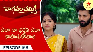 Naga Panchami  Episode 169 Highlight  Telugu Serial  StarMaa Serials  Star Maa [upl. by Spohr]