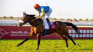 RM1 Al Uqda RACE6 Lekhraib Cup [upl. by Kciremed]