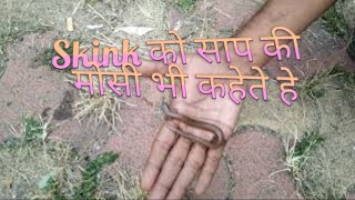 Saap ki Mausi ko per vala saap samjaसाप कि मौसि PG7756869583 [upl. by Alimaj571]