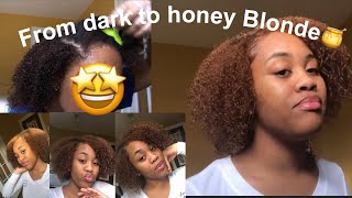 DYING MY NATURAL HAIR FROM DARK TO HONEY BLONDE No bleach creme of Nature [upl. by Wendel576]