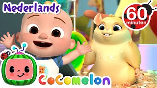 Ons schooldier  CoComelon Nederlands  Kinderliedjes [upl. by Yt]