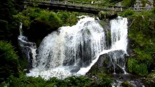 Der Triberger Wasserfall im Schwarzwald [upl. by Sophronia]