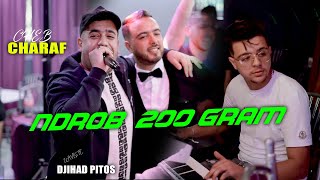 Cheb Charaf Avec Djihad Pitos Ndrob 200 Gram  شابة نبغيها  Live Mariage [upl. by Lodie927]