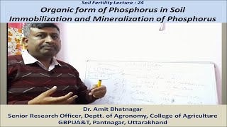 Organic form of Phosphorus in Soil [upl. by Eelik]