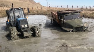 Трактор Беларус Против УРАЛ 6х6 по Болоте  OFFROAD 2020 [upl. by Roy113]