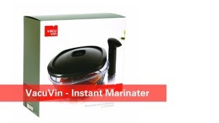 Vacu Vin Instant Marinater Review  Damn Good Reviews [upl. by Allianora]