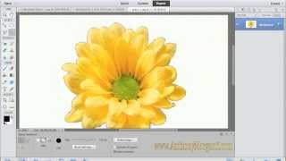 Learn Adobe Photoshop Elements 11  Part 4 Tools Training Tutorial [upl. by Thomson]