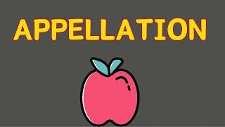 What Does APPELLATION Mean  Meanings And Definitions With Example in ENGLISH [upl. by Denny]