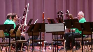 Contrabass Bassoon quartet Baby Elephant Walk [upl. by Timms]