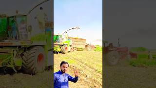 Silage machine is pushing a tractor trolley  short ytshort shortvideo [upl. by Hpesoy]