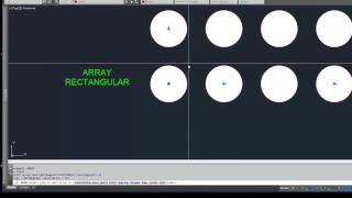 Drawing rebar points in Autocad with array [upl. by Graybill]