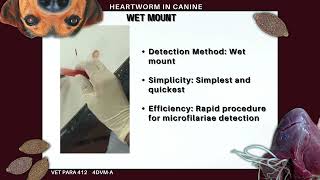 VET PARA 2  Heartworm Lab 6  G3 23 [upl. by Eemla]